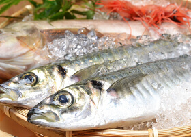 鮮度へのこだわり